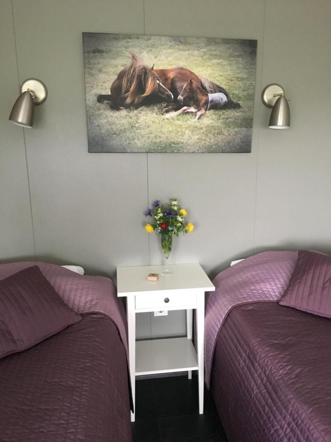 Olfus Stryta Apartment 2 מראה חיצוני תמונה